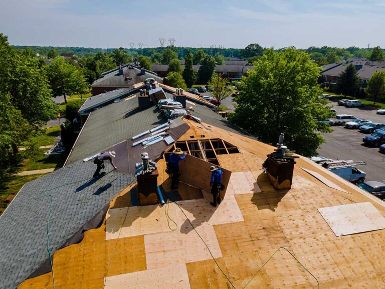 Solar panels on a shingled home roof beside snow-covered trees, with a roof inspection underway.